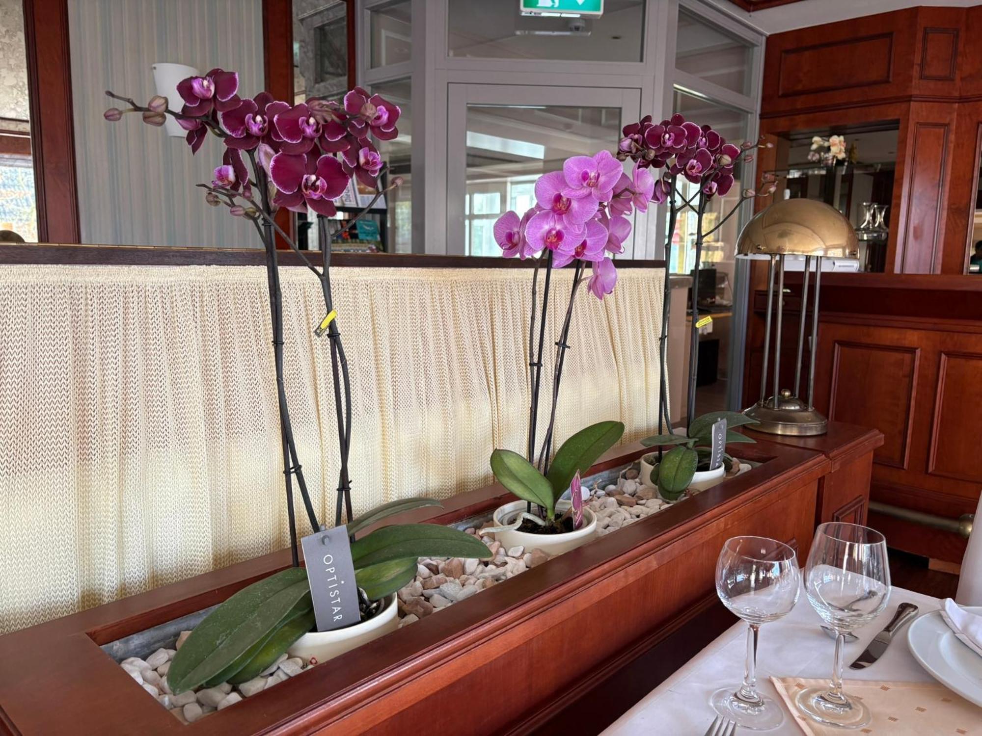 Hotel Kieferneck บัดบีเวนเซิน ภายนอก รูปภาพ